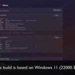 Windows 11 MacOS build 22000.318